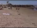 I love the beach.