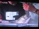 Christian Dumas - White Sea Bass - KUSI Christian Dumas - White Sea Bass - KUSI