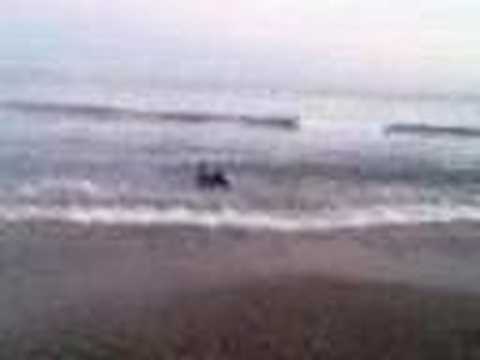 Playa Puerto Sagunto