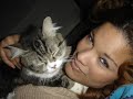 so cool to be a cat!!