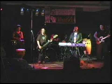 Mountain lions international-Throw ...