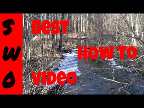 how to locate muskrats