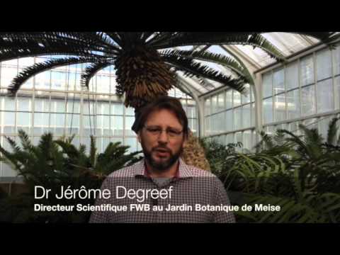 Image de prévisualisation YouTube