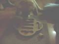 videos de Cosmo and the Dog Fighter