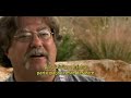 planos de         $$$$      saude nos eua  cap 02