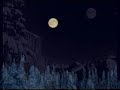 in the erie pre-dawn silence of the cold

permafrost forest

protagonist of misanthropic virtues