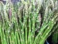 Food Focus: Asparagus!