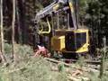 tigercat with waratah 624 super 2
