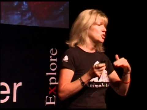 TEDxPearlRiver - Jill Robinson<br>Welfare of Animals