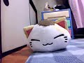 Click here to watch this video 【大雅が】叫びつつトリノコシティ歌ってみた【泣いた】