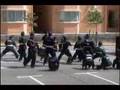 Silat Cekak Hanafi UiTM Shah Alam - Siri 1