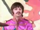 The Beatles - Hello Goodbye