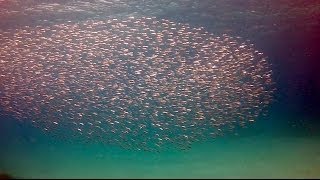 Lanzarote - underwater GoPro & time lapses