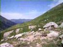 bora kavrun\ bora kavrun\