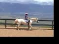 Danica Horse Lessons