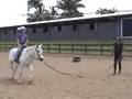 videos de Danica Horse Lessons