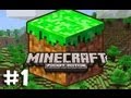 Minecraft: Pocket Edition (On iPad) w/ Ze - Part 1