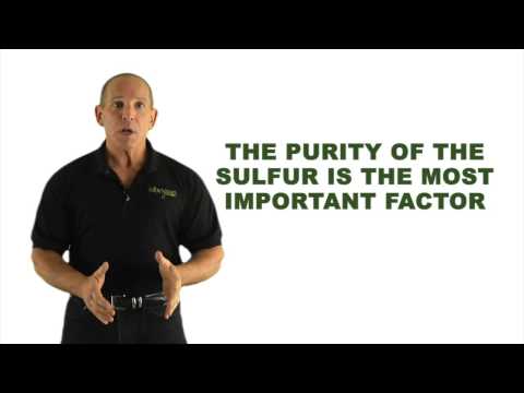 how to grow msm crystals