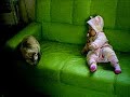 Nini e a gata Murcilha
