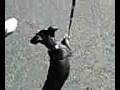 videos de klug.wmv