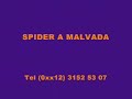 baile funk brasil mc colibri spider a malvada