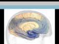 Alzheimer`s disease