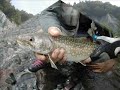 北海道,岩魚,渓流釣