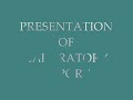 lab presentation
