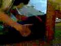 videos de Catbook Movie: ribbon!! =D
