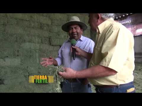 ganado leche - Acompañenos a ver un bonito ganado lechero en Querétaro y conoceremos un poco sobre la labor de los halcones en los establos, Ademas viajamos a Sonora para c...