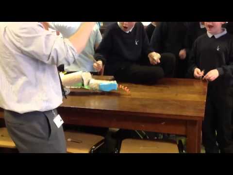 how to make a seat belt for an egg
