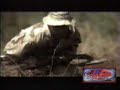 Ghetto Commission featuring Master P & Mystikal - Soldier