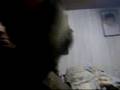 oso y cogio dando jugo
