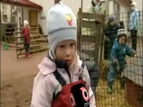 Annin lempieläin on pupu - YouTube