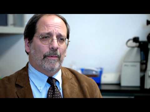 how to get more blood to the brain