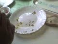 Le verre crassou 1