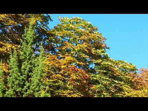 Барановичи день за днем. 05.10.26