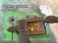 Посмотреть видео