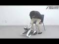 More Bailout Drama, Nissan's New Concept - Autoline Daily 21