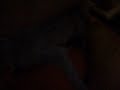 0274???????