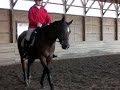 Walter Zettl Clinic -Cantering L to final chew out reins Sept 25 09