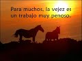 El caballo Viejo