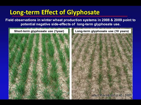 Glyphosat: Gift im Acker Glyphosat, die unterschtz ...