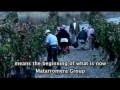 Bodega Matarromera