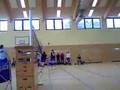 TV Mengede Volleyball