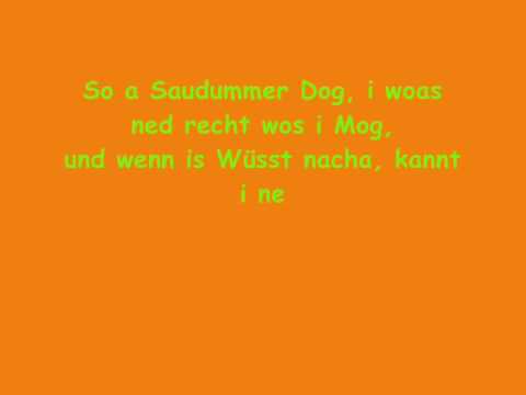 Konstatin Wecker - Soa Saudummer Dog