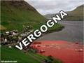 videos de VERGOGNA: massacro delle balene pilota