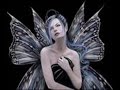 fairies