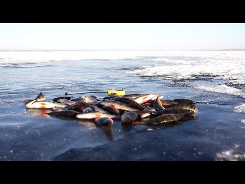 рыбаки на увильдах рыбаки на увильдах