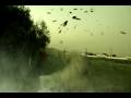 videos de suicide